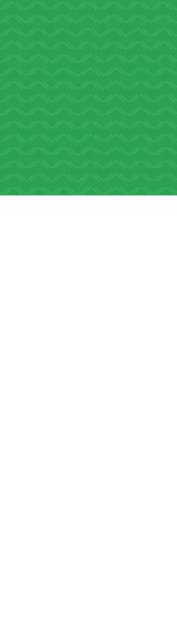 ���Y�t�S��